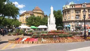 Суботица у знаку цвећа-отворена Цветна пијаца