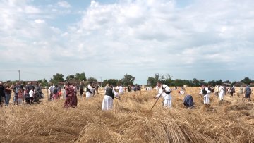 И после три деценије, Стипан и Ружа и даље најбољи рисари