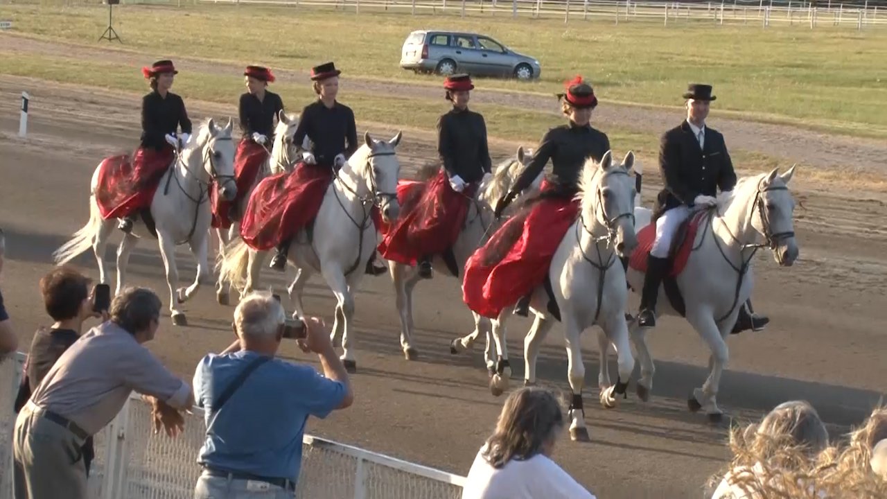 Коњичке трке „Дужијанца“ за викенд на хиподрому