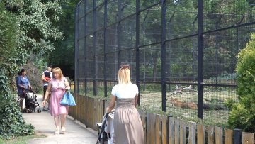 Услови за животиње у Зоо- врту прилагођени врелом лету 