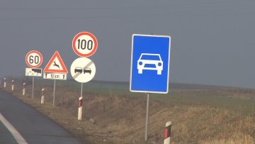 Суботици потребно што хитније пошумљавање