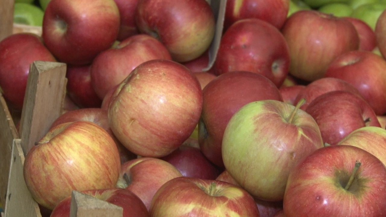 Светски дан јабука: Повољне за здравље и за кућни буджет