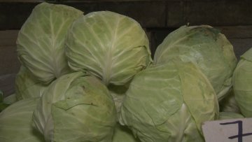 Цена купуса папрена – продаја ипак добра
