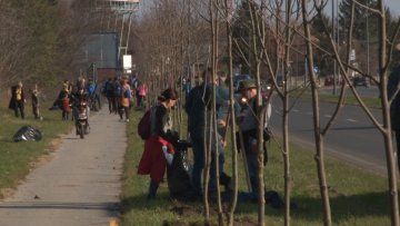 Суботња акција пошумљавања успешно завршена