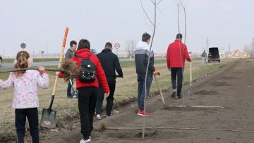 „Зелена оаза“ наставила подизање дрвореда