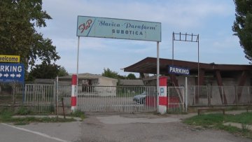 Лола Вохл поново добија бисту