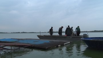 Изловљено 13 и по тона рибе из Палића 