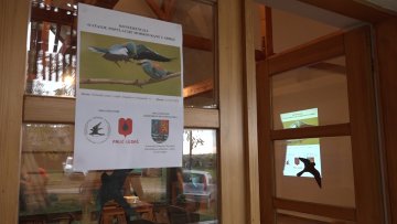 Модроврана, врста спасена од изумирања 