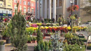 Сајам цвећа на Тргу слободе 