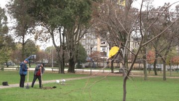 Удружење „Суботички храст“ започиње акције озелењавања