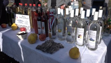 Виљамовка најбоља на Фестивалу младе ракије