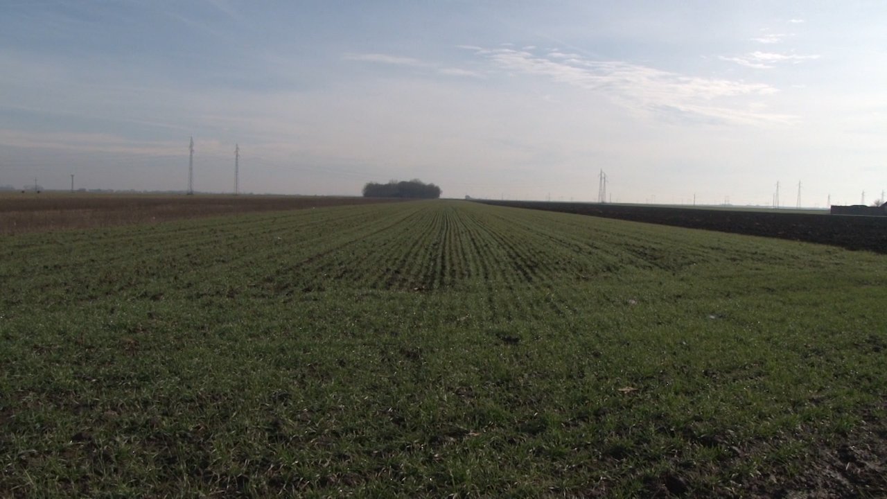 На располагању 1.370 хектара државног земљишта пољопривредницима у Суботици