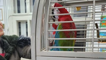 Са граничног прелаза у Прихватилиште