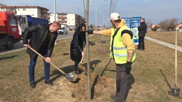 Акцијом ДДОР-а озелењен део Партизанских база