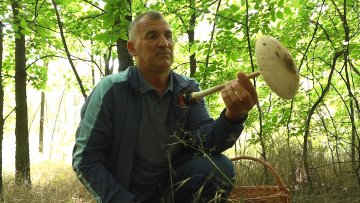 Чудесни свет гљива Суботичанина Стеве Стефановића