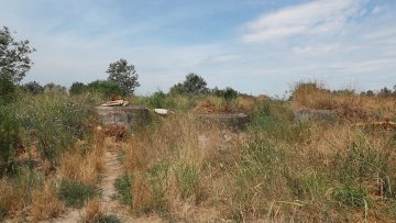 И дивља депонија и расадник амброзије – вишедеценијски проблем у Керу