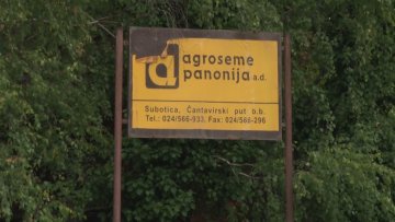 Незаконитости у стечајном поступку „Агросемена“?
