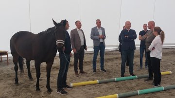 Терапијске сесије на „Сарић салашу” од сада константне 