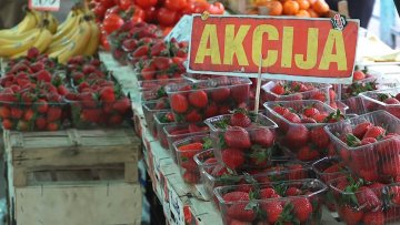 Прве јагоде ове сезоне коштају као лане – 500 динара килограм 