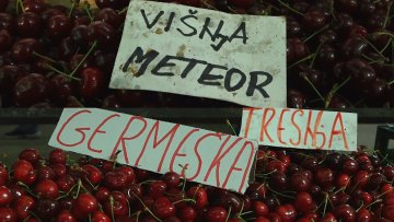 Стигле вишње и трешње  – цене варирају од 220 до 350 динара 