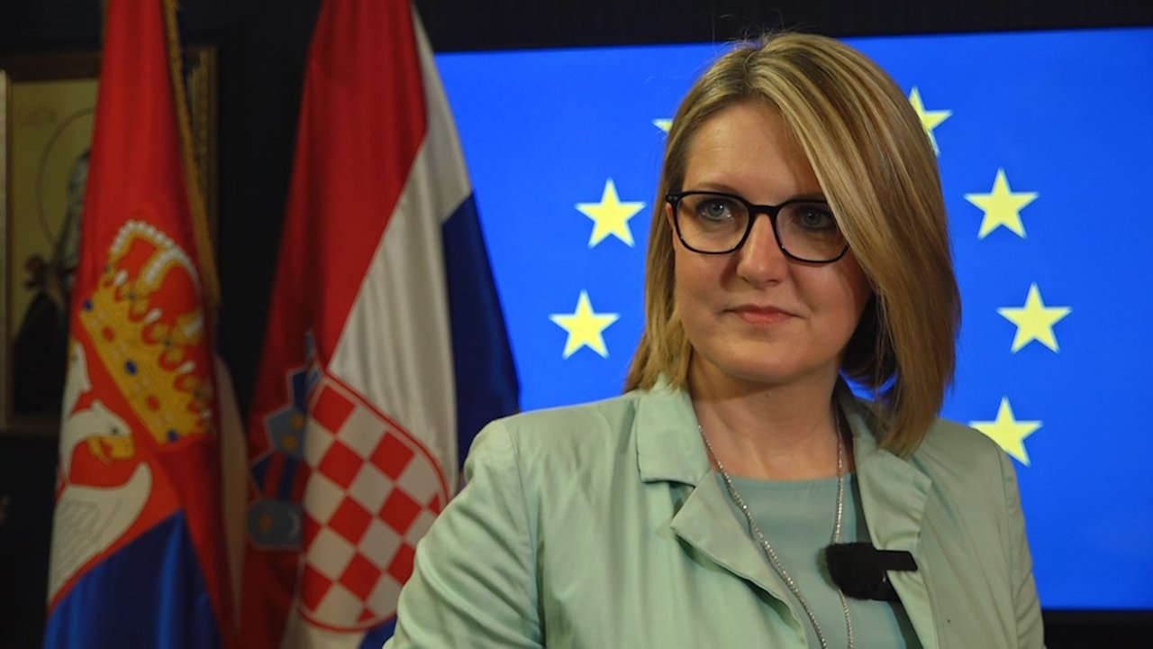ХНВ позива хрватске држављане да гласају на изборима за Европски парламент