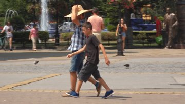Неопходна додатна брига о здрављу услед високих температура 